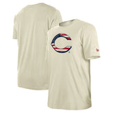 Cincinnati Reds New Era Americana Flag Fill T-Shirt - MLB