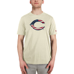 Cincinnati Reds New Era Americana Flag Fill T-Shirt - MLB