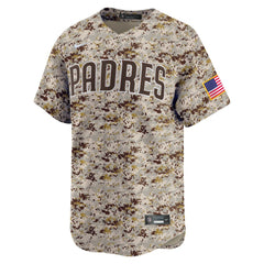 Fernando Tatis Jr. San Diego Padres Nike Alternate 2 Limited Jersey - MLB
