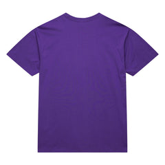Toronto Raptors Hardwood Classics Neon Nights Premium T-Shirt Raptors Purple - NBA