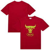 Chicago Bulls Hardwood Classics Neon Nights Premium T-Shirt Red - NBA