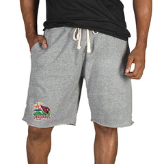 Arizona Cardinals Concepts Sport Mainstream Tri-Blend Shorts Gray | NFL