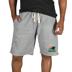 Carolina Panthers Concepts Sport Mainstream Tri-Blend Shorts Gray | NFL
