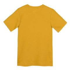 Pittsburgh Steelers Preschool Icon Legend Dri-FIT T-Shirt Gold | Nike for Sale