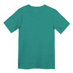 Miami Dolphins Preschool Primary Logo Legend Performance T-Shirt Aqua | Nike for Sale