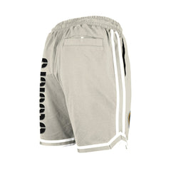 Pittsburgh Steelers New Era Stone Multi Patch Shorts Light Beige | NFL