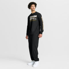 Baltimore Ravens Hometown Sweep Legacy Long Sleeve T-Shirt Black | Fanatics