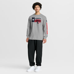 Houston Texans Hometown Sweep Legacy Long Sleeve T-Shirt Heather Gray | Fanatics