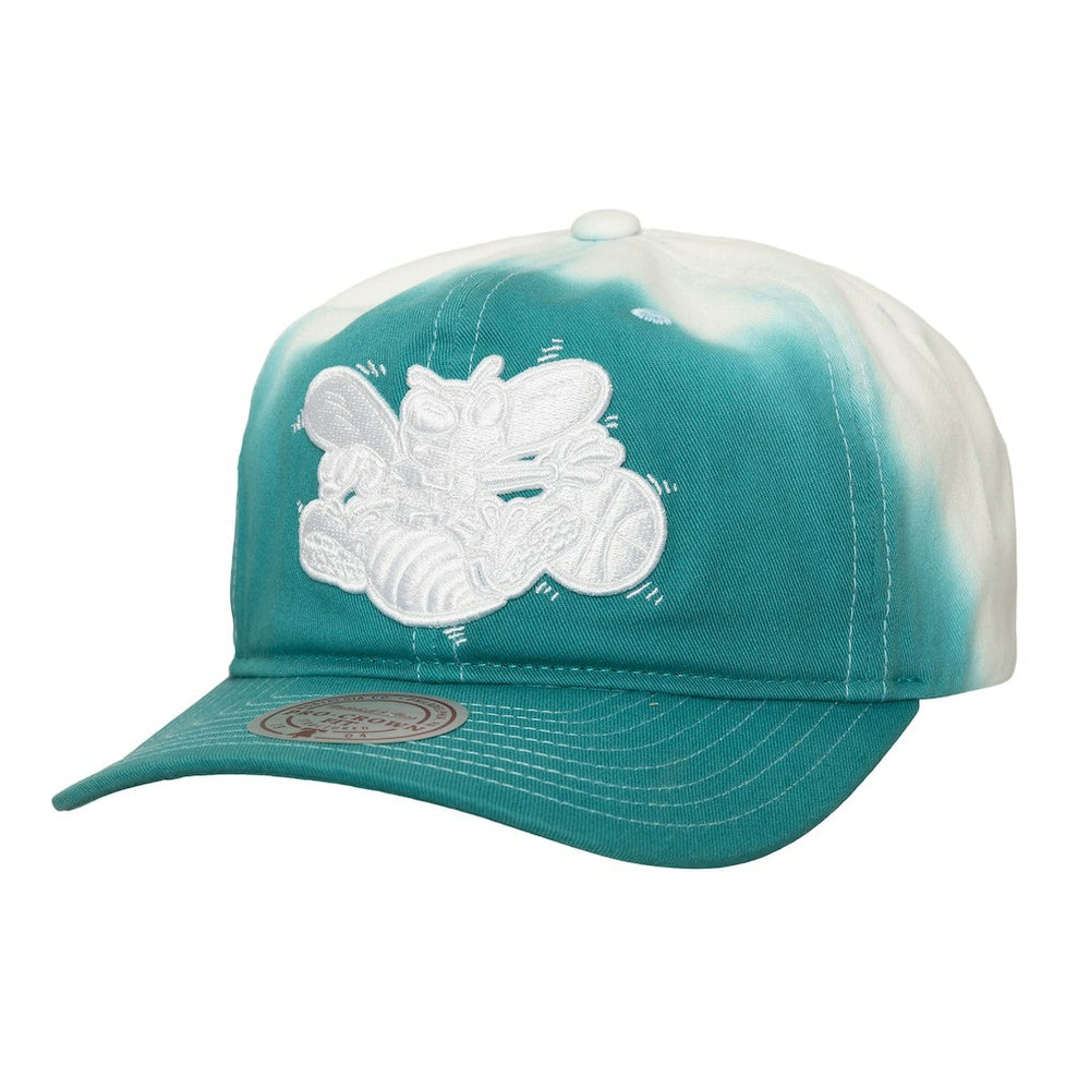 Charlotte Hornets Dip Dye Pro Crown Adjustable Hat Teal/White - NBA