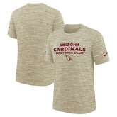 Arizona Cardinals Youth 2025 Rivalries Collection Sideline Velocity Dri-FIT T-Shirt Natural | Nike for Sale