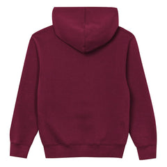 Washington Commanders Outerstuff Preschool Back to Basics Hoodie Burgundy | NFL