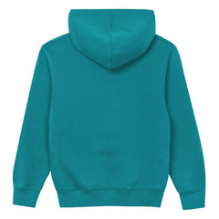 Miami Dolphins Outerstuff Preschool Back to Basics Hoodie Aqua | NFL