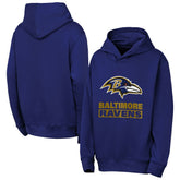Baltimore Ravens Outerstuff Youth Back to Basics Hoodie Purple | NFL
