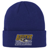 Baltimore Ravens Outerstuff Youth Team Gradient Cuffed Knit Hat Purple | NFL