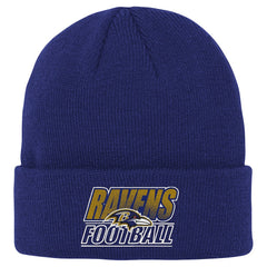 Baltimore Ravens Outerstuff Youth Team Gradient Cuffed Knit Hat Purple | NFL