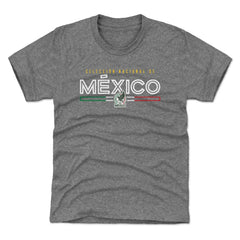 Mexico National Team 500 Level Youth Inline Tri-Blend T-Shirt Gray - FIFA World CUP