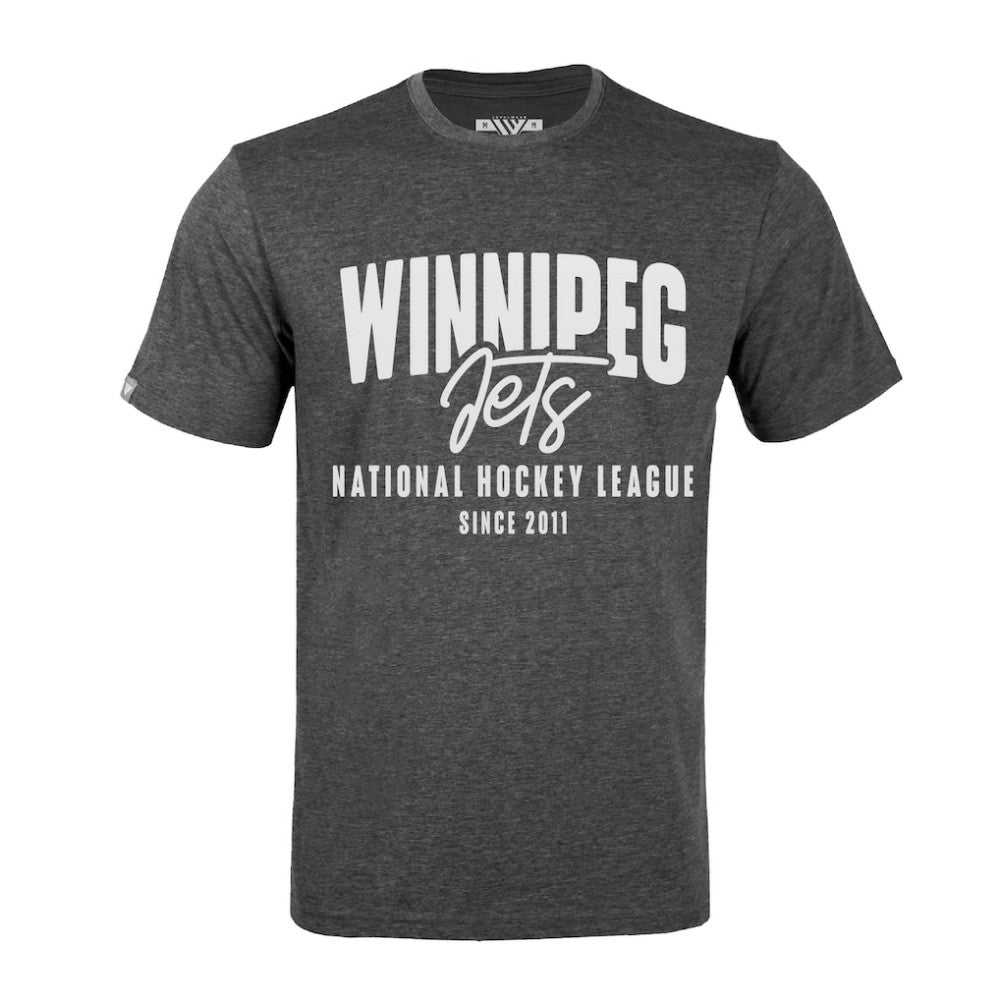 Winnipeg Jets Levelwear Richmond Response T-Shirt - Gray - NHL