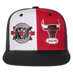 Chicago Bulls Youth 20th Anniversary Duo Front Snapback Hat Black - NBA