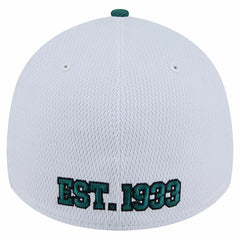 Philadelphia Eagles New Era Dashmark Rays 39THIRTY Flex Hat White/Midnight Green | NFL