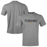 Pittsburgh Penguins Levelwear Youth Little Richmond Carve T-Shirt - Gray - NHL