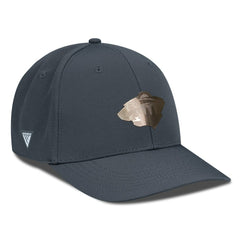 Minnesota Wild Levelwear Rise Copper Insignia Flex Hat - Charcoal - NHL