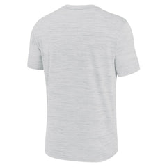 Arizona Diamondbacks Nike Authentic Collection Velocity Dri-FIT T-Shirt - MLB