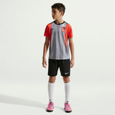 Chelsea Youth 2025/26 Academy Pro Pre-Match Top Gray | Nike cheap