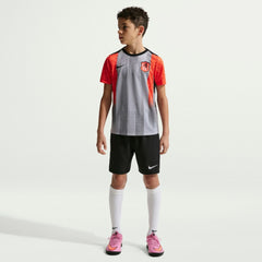 Chelsea Youth 2025/26 Academy Pro Pre-Match Top Gray | Nike cheap