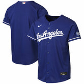 Los Angeles Dodgers Nike Youth Alternate 2 Stadium Jersey - MLB