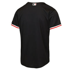 Minnesota Twins Nike Youth Alternate 2 Stadium Jersey - MLB