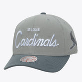 St. Louis Cardinals Mitchell & Ness Thunderstorm Head Coach Pro-Crown Adjustable Hat - MLB