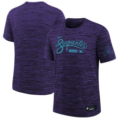 Arizona Diamondbacks Nike Youth Authentic Collection Velocity Dri-FIT T-Shirt - MLB