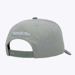 San Antonio Spurs Thunderstorm Head Coach Pro Crown Snapback Hat Gray - NBA