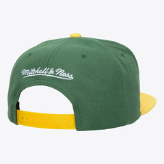 Minnesota Wild Mitchell & Ness Legendary Home Snapback Hat - Green - NHL
