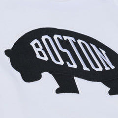 Boston Bruins Mitchell & Ness Arctic Fleece Hoodie - White - NHL