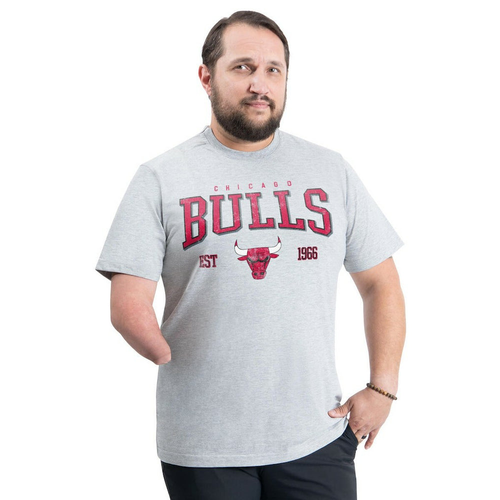 Chicago Bulls G-III Sports by Carl Banks Adaptive Classic Team Spirit Short Sleeve T-Shirt Gray - NBA
