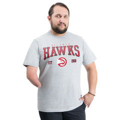Atlanta Hawks G-III Sports by Carl Banks Adaptive Classic Team Spirit Short Sleeve T-Shirt Gray - NBA