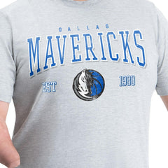 Dallas Mavericks G-III Sports by Carl Banks Adaptive Classic Team Spirit Short Sleeve T-Shirt Gray - NBA