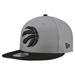 Toronto Raptors Core Logo Storm Gray Two-Tone 9FIFTY Snapback Hat Gray - NBA