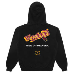 Arizona Cardinals Born x Raised Unisex Pro Script Hoodie Black | NFL