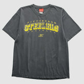 Pittsburgh Steelers Reebok 2000s T-Shirt Gray Vintage | Fanatics