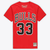 Scottie Pippen Chicago Bulls Unisex Hardwood Classics Name & Number T-Shirt Red - NBA