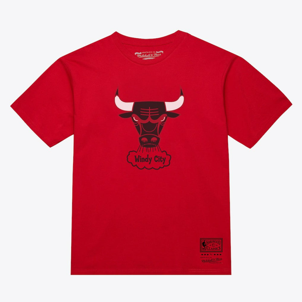Chicago Bulls Unisex Hardwood Classics Arch T-Shirt Red - NBA
