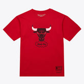 Chicago Bulls Unisex Hardwood Classics Arch T-Shirt Red - NBA