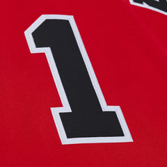 Derrick Rose Chicago Bulls 2008-09 Authentic Jersey Red - NBA