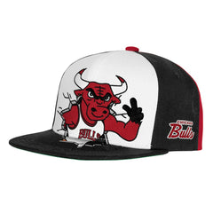 Chicago Bulls Youth Mascot Snapback Hat Black - NBA