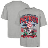 New England Patriots '47 Regional Foundation T-Shirt Gray | 47 brand