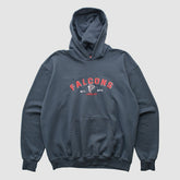 Atlanta Falcons NFL 2000s Hooded Pullover Sweatshirt Black Vintage | Fanatics