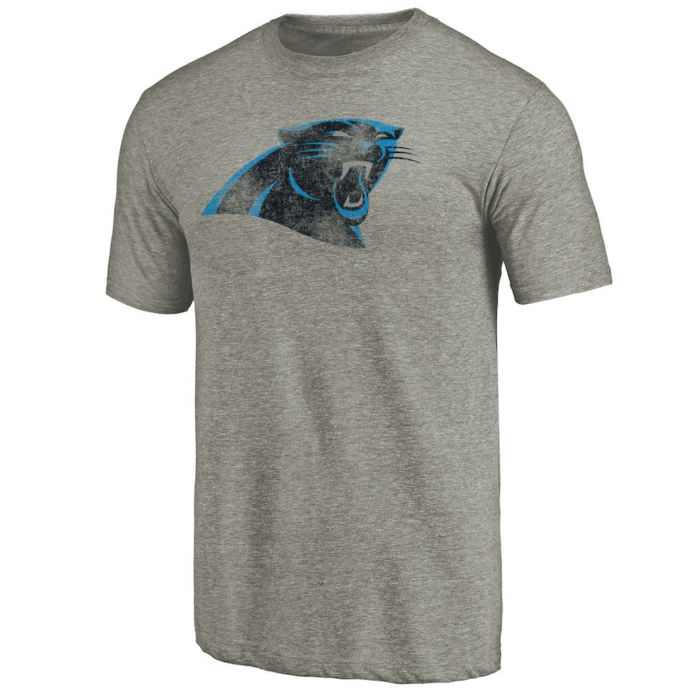 Carolina Panthers Distressed Team T-Shirt Ash | NFL