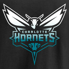 Charlotte Hornets Gradient Logo T-Shirt Black - NBA